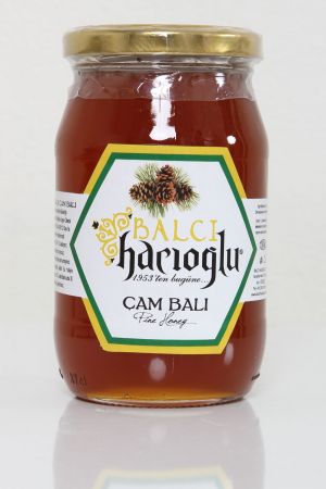 Çam Balı 460 Gram